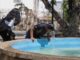 Se esperan temperaturas superiores a 40°C en 23 estados para este 21 de mayo