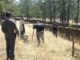 Realiza FGE acciones de búsqueda de menor ausente en Guachochi