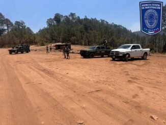 Participa Fiscalía Zona Sur en operativos para combatir delitos ambientales en Guachochi