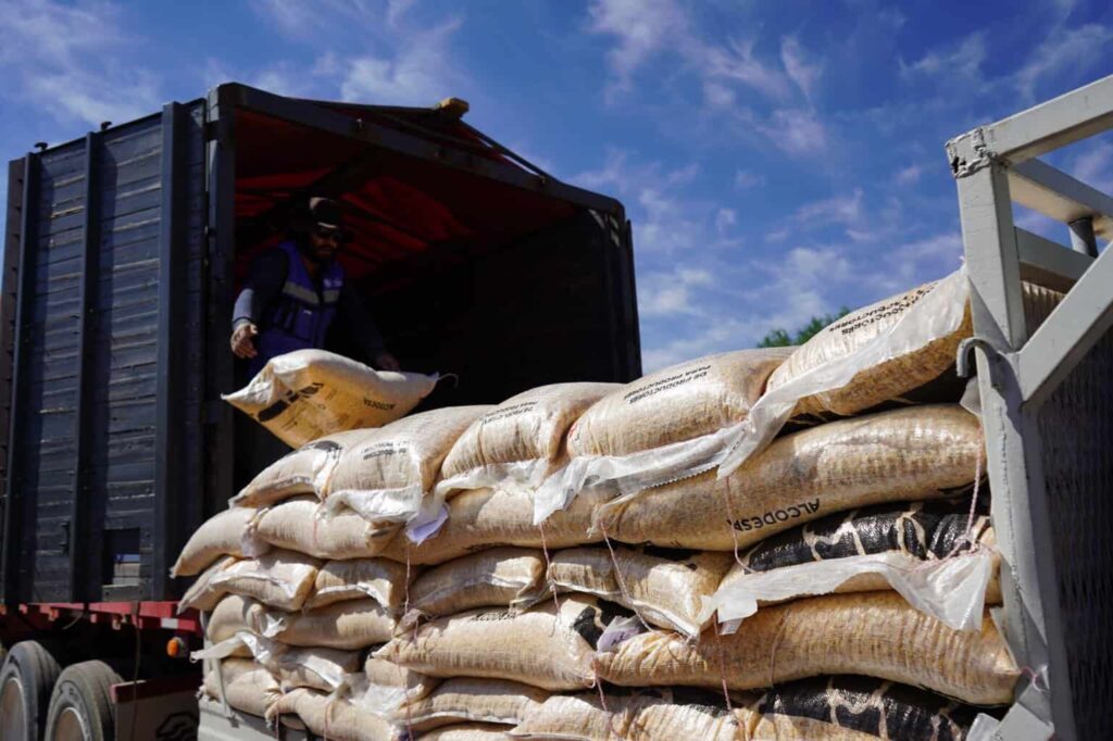 Beneficia municipio a 852 productores pecuarios con alimento para ganado