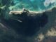 Se hunde embarcación frente a Isla de la Pasión, en Cozumel