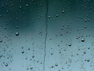 Pronóstico del clima para hoy 4 de julio en México, ¿en dónde esperan lluvias fuertes?