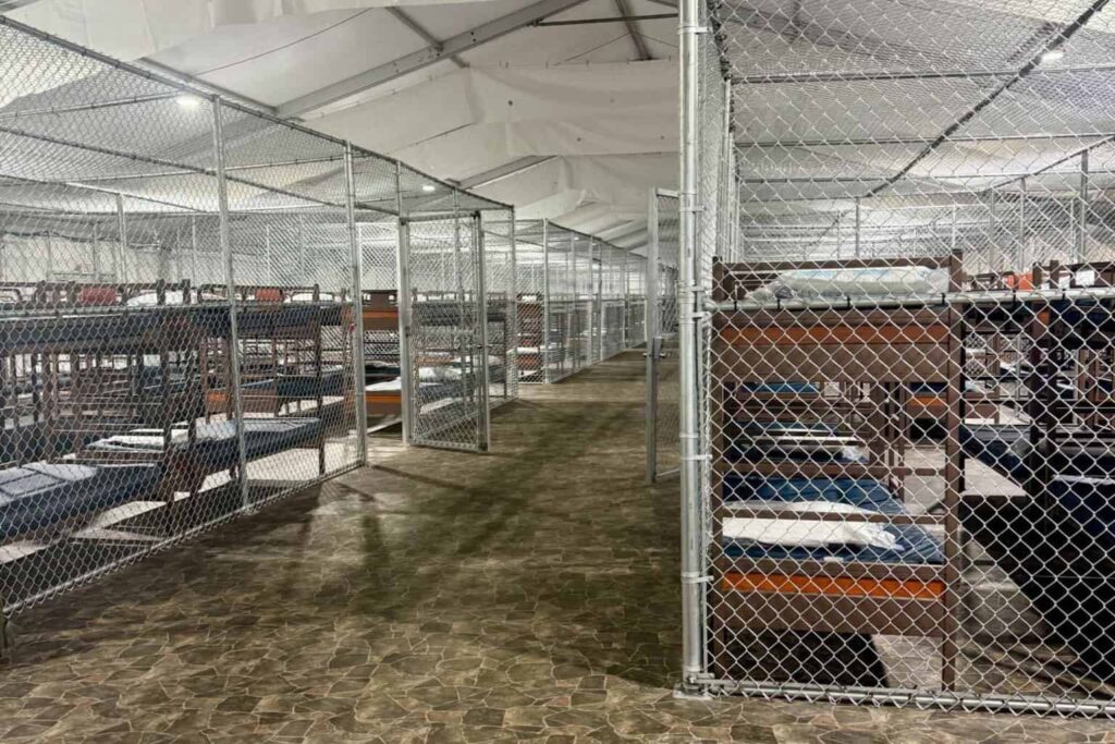 Sheinbaum exigirá que mexicanos detenidos en EE.UU. no pisen ‘ Alligator Alcatraz ‘