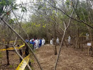 Especialistas y buscadores de personas desaparecidas afinan método para localizar fosas mediante flores y animales