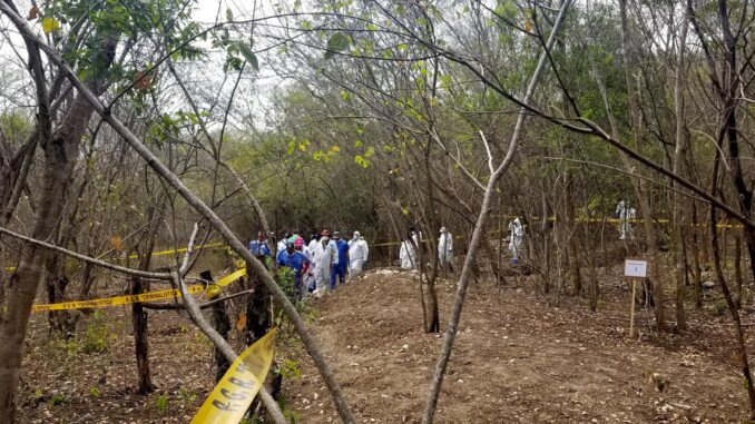Especialistas y buscadores de personas desaparecidas afinan método para localizar fosas mediante flores y animales