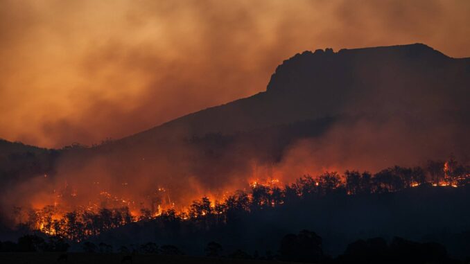 Cambio climático elevaría hasta 15 % la mortalidad en México, según estudio