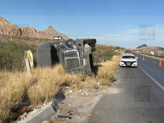 Tráiler cargado con cebolla vuelca en la carretera Delicias