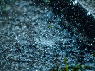 Alertan por lluvias intensas en seis estados; llaman a la población a tomar medidas
