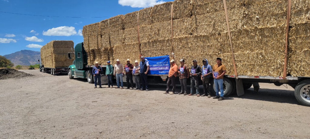 Abren la convocatoria para acceder a apoyo de esquilmos y pacas de rastrojo
