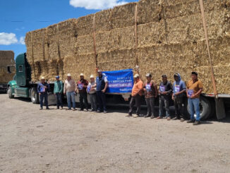 Abren la convocatoria para acceder a apoyo de esquilmos y pacas de rastrojo