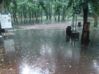 Semarnat confirma fecha de reapertura del Parque Viveros de Coyoacán