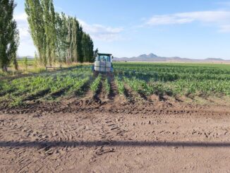Abre SDR convocatoria de apoyo fiduciario para facilitar financiamiento a productores agropecuarios
