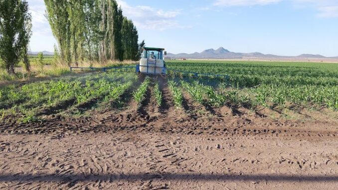 Abre SDR convocatoria de apoyo fiduciario para facilitar financiamiento a productores agropecuarios