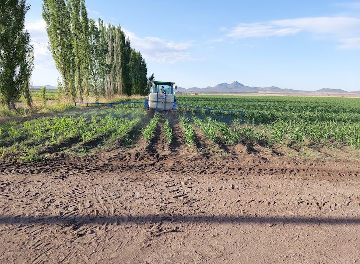Abre SDR convocatoria de apoyo fiduciario para facilitar financiamiento a productores agropecuarios