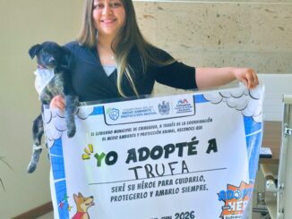 Promueve Municipio adopción de perritos: pueden ser tu compañía y ayuda emocional