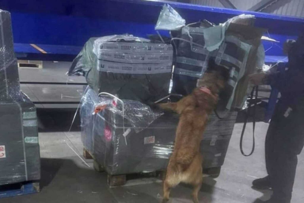 Aseguran casi dos millones de cigarros ilegales en el AICM provenientes de Asia