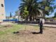 Gobierno Municipal emite recomendaciones para el cuidado de los árboles durante la primavera