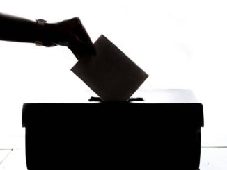 Morena buscará convencer desde el Senado; PT y Verde primero leerán reforma electoral